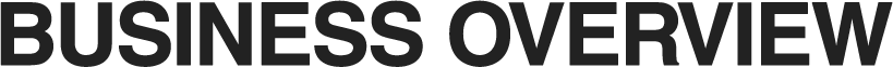 BUSINESS OVERVIEW
