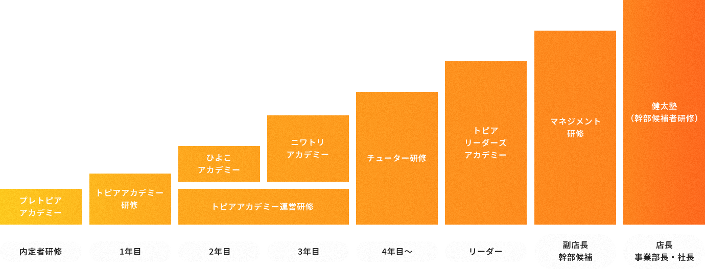 内定者研修 プレトピアアカデミー 1年目 トピアアカデミー研修 2年目 トピアアカデミー運営研修 ひよこアカデミー ニワトリアカデミー 4年目～ チューター研修 トピアリーダーズアカデミー 副店長幹部候補 マネジメント研修 健太塾（幹部候補者研修）店長事業部長・社長